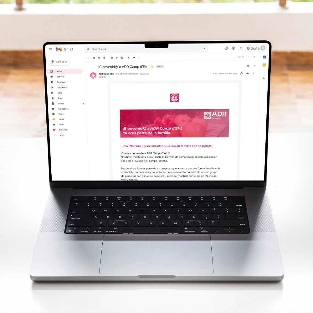 diseñador gráfico en monóvar diseñador gráfico Alex Mas